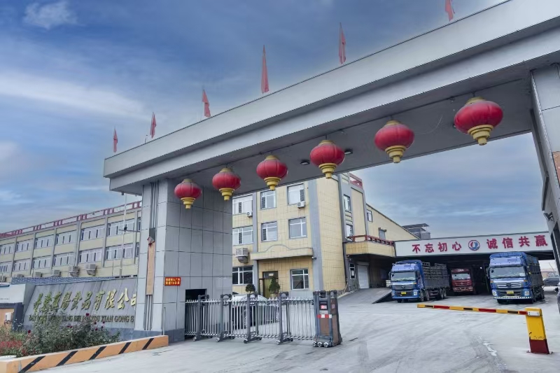 Nieuwe visie en internationale groei